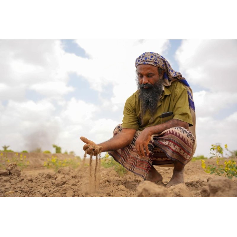 Important Recommendations for Farming in Saline Lands