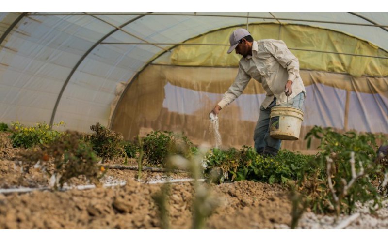 Integrated Crop Protection Solutions