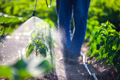 Plant Protection Solutions