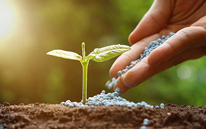 Plant Nutrition Solutions
